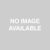 Samsung G600 Mains Charger